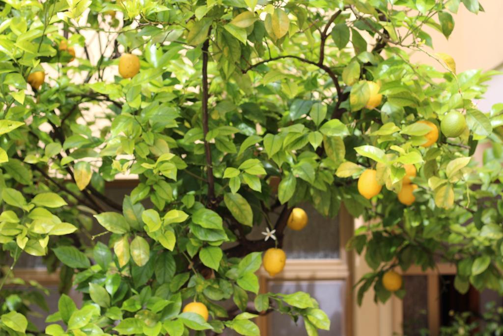 Fiori E Limoni Bed and Breakfast Quartucciu Εξωτερικό φωτογραφία